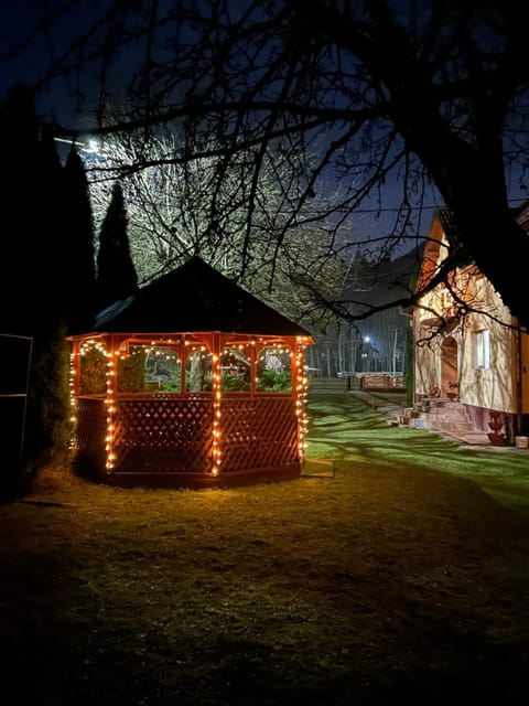 Property building, Night, Natural landscape, Garden view