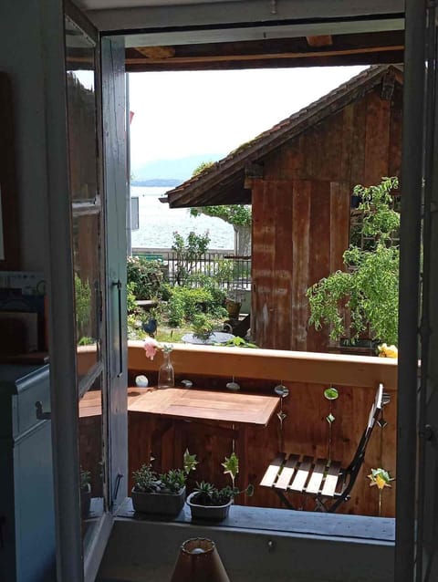 Lake view