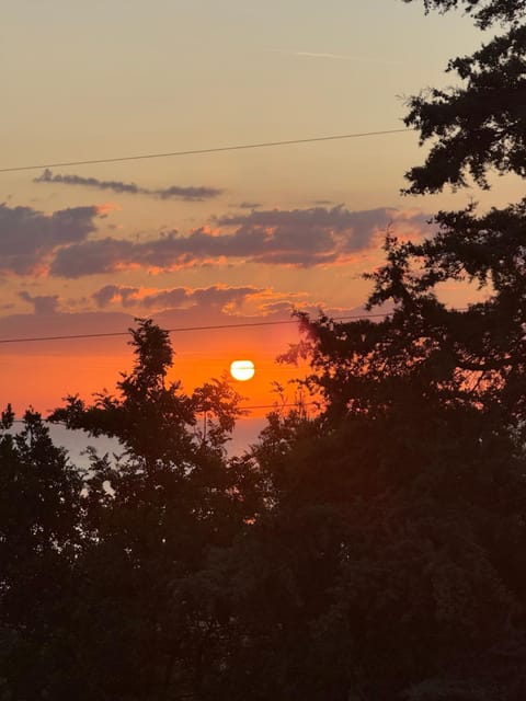 Villa Santa Maria al Poggio Bed and Breakfast in Porto San Giorgio