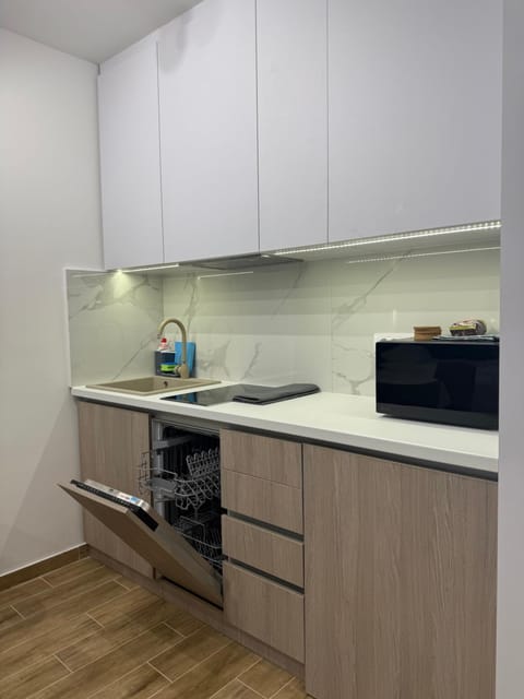 Kitchen or kitchenette, dishwasher