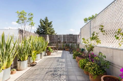 M303 - 2BR - 2BTh Apartment in Mexico City