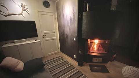 Communal lounge/ TV room, TV and multimedia, fireplace