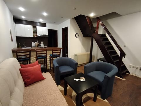 Drašković lux Goč Apartment in Serbia