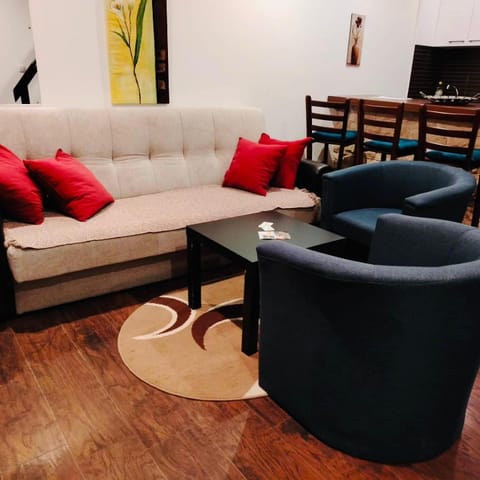 Drašković lux Goč Apartment in Serbia