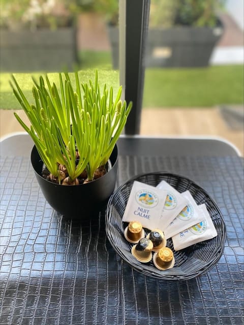 Le Palmier Studio - Private Studio House in Créteil