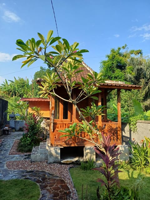 Property building, Day, Garden view
