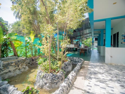 Day, Garden, Garden view