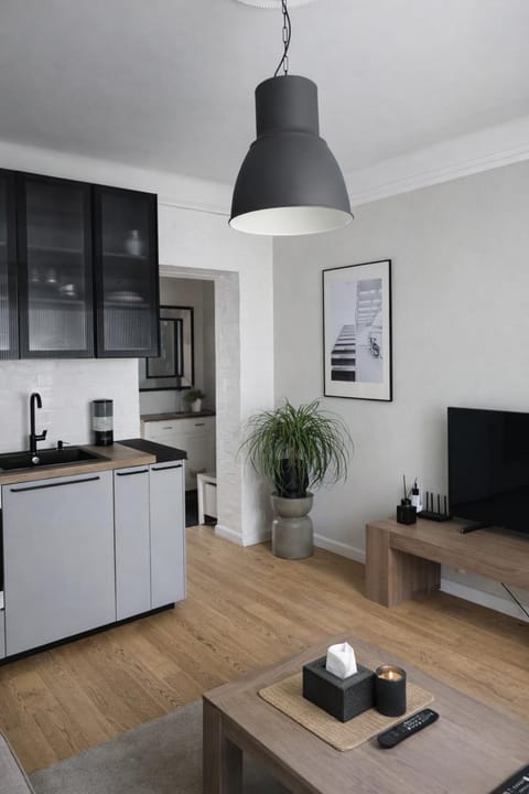 Downtown Apartment Rentals Apartment in Lithuania