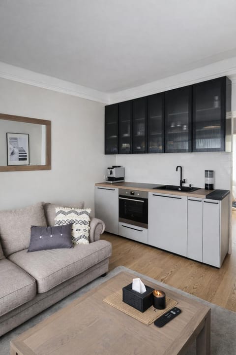 Downtown Apartment Rentals Apartment in Lithuania