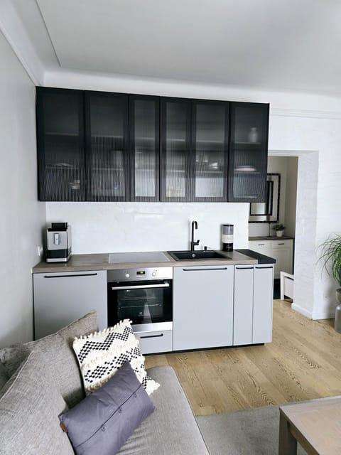 Downtown Apartment Rentals Apartment in Lithuania