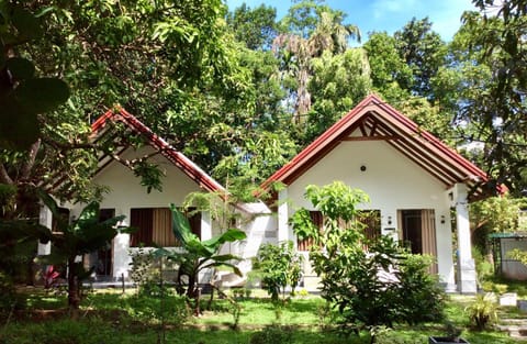 Property building, Garden, Garden view
