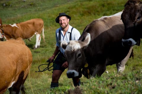 Beim Josef Apartment in Schwangau