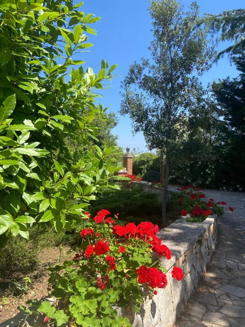 Villa Marzano Villa in Province of Taranto