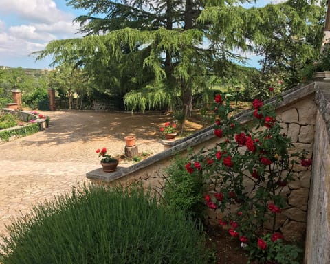 Spring, Garden, Garden view