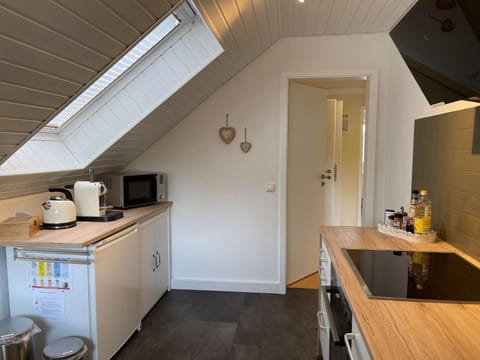 Kitchen or kitchenette, oven, stove