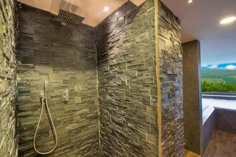 My Exclusive Italy - Chianti's Villa with vineyard, infinity pool & view Villa in Tuscany