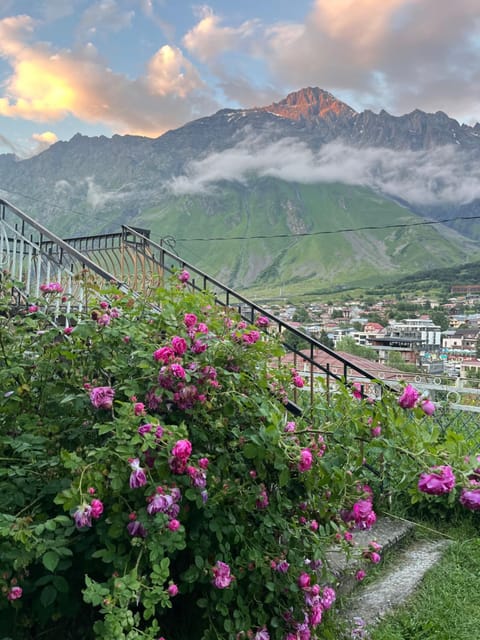 Garden, Mountain view