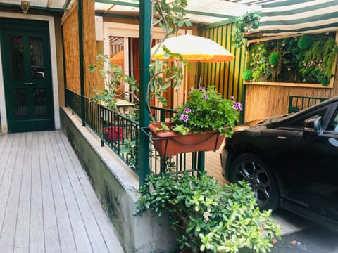 Garden view
