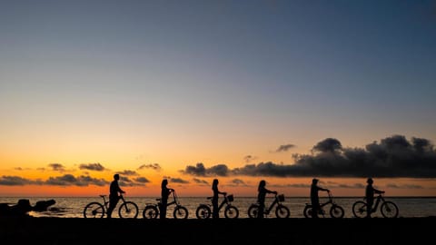 Natural landscape, Cycling
