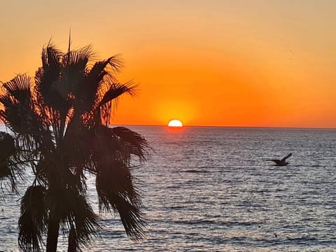 Fuengirola center beachfront Yate Apartment in Fuengirola