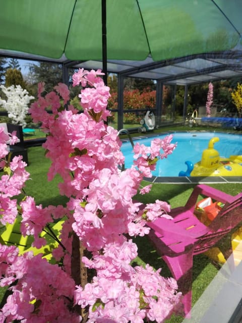 Garden, Swimming pool