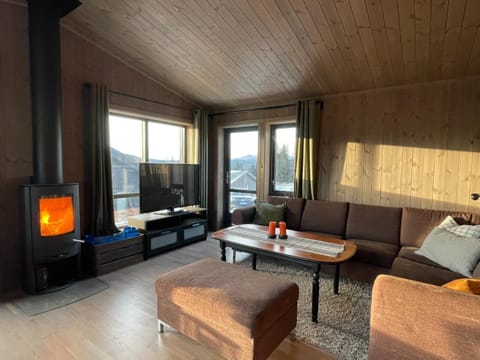 TV and multimedia, Living room, fireplace