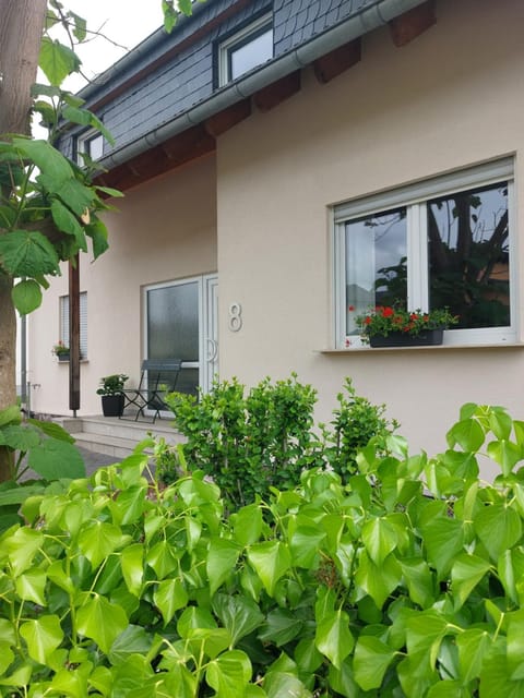 Property building, Mountain view