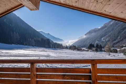 Chalet Les Grands Montets Chalet in Chamonix