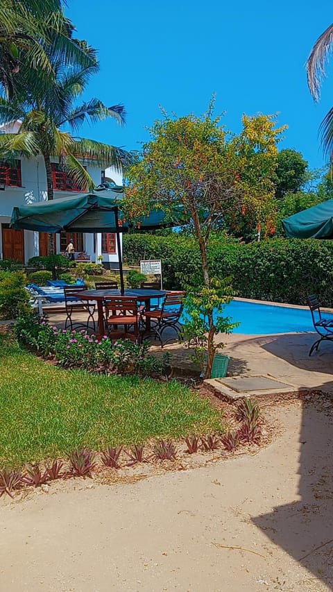 Pool view, Swimming pool, sunbed