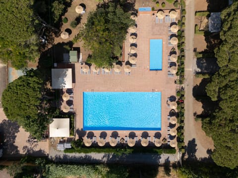 Bird's eye view, Swimming pool