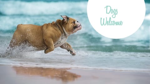 Oceanside, Pool, Hot Tub, Rec Room, Close to Beach -WC920, Whalehead Retreat House in Corolla