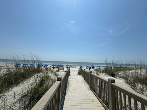 Day, Natural landscape, Summer, Beach