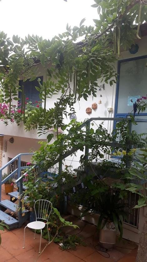 Property view