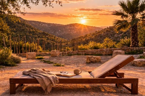 Garden, Mountain view, Sunset