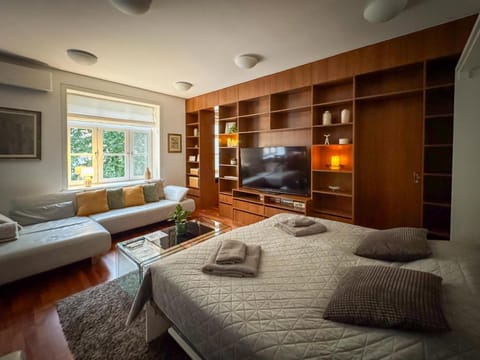 Bed, TV and multimedia, Living room, Bedroom