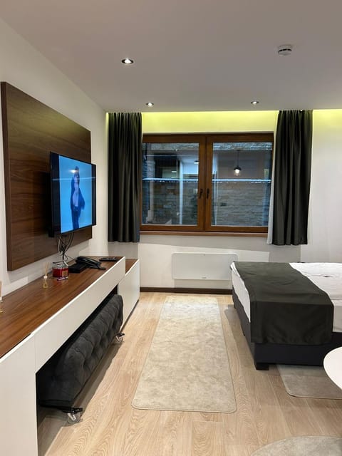 Communal lounge/ TV room, Bed, TV and multimedia, Living room, Photo of the whole room, Seating area, Bedroom