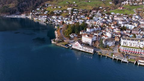 Property building, Day, Natural landscape, Bird's eye view, Lake view