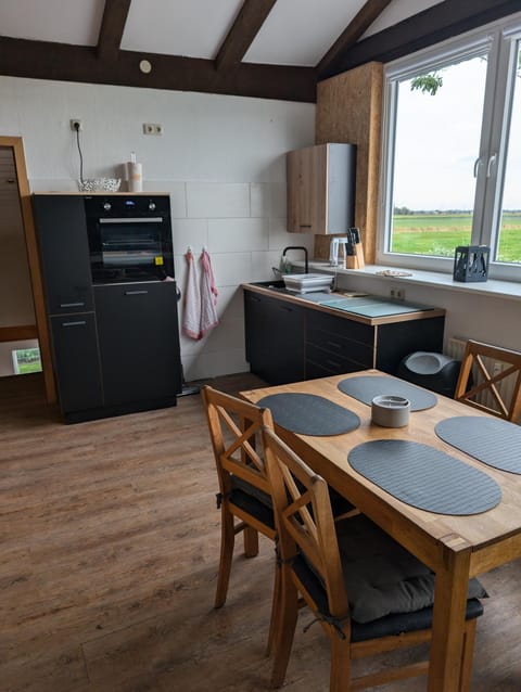 Kitchen or kitchenette, Dining area, oven, stove