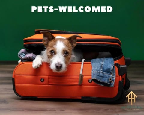 Luxury Family Friendly Home 6 Queen Beds House in Fort Worth