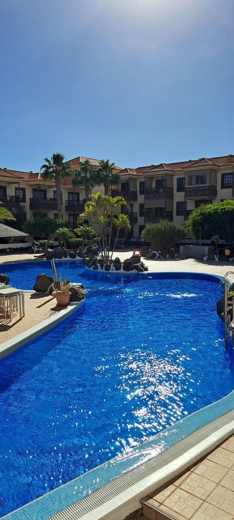 Day, Swimming pool, sunbed