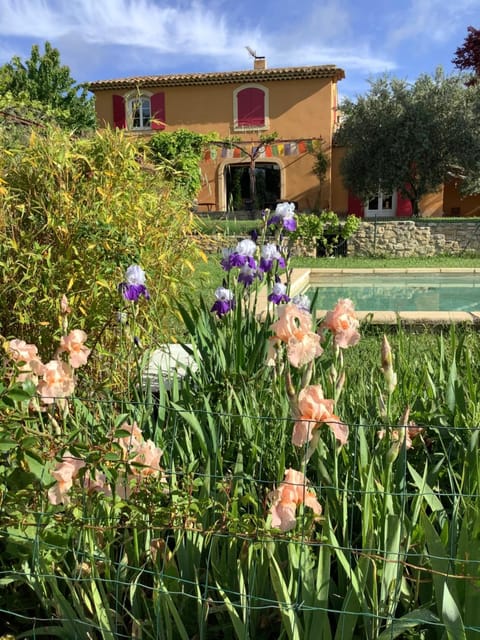 Spring, Garden, Swimming pool