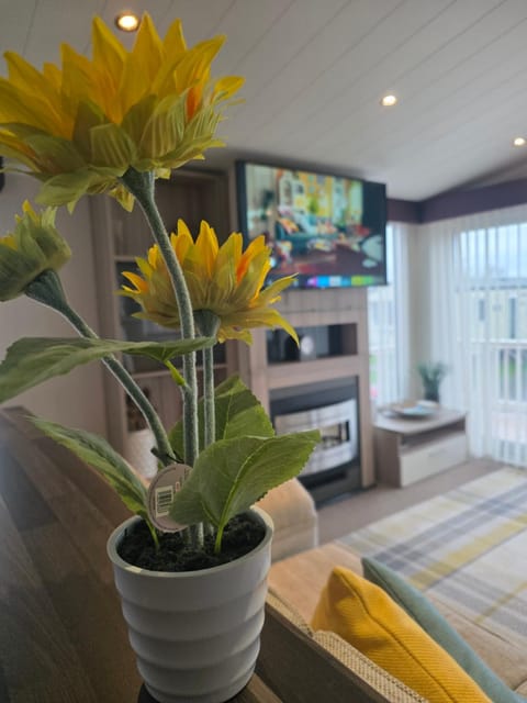 Sunflower 62 Braunton Apartment in Barnstaple