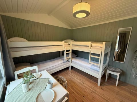 Photo of the whole room, Bedroom, bunk bed