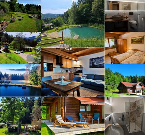 Natural landscape, BBQ facilities, Garden, Garden, Bathroom, View (from property/room), Living room, Photo of the whole room, Bedroom, Lake view, Area and facilities, furniture, sunbed, kitchen