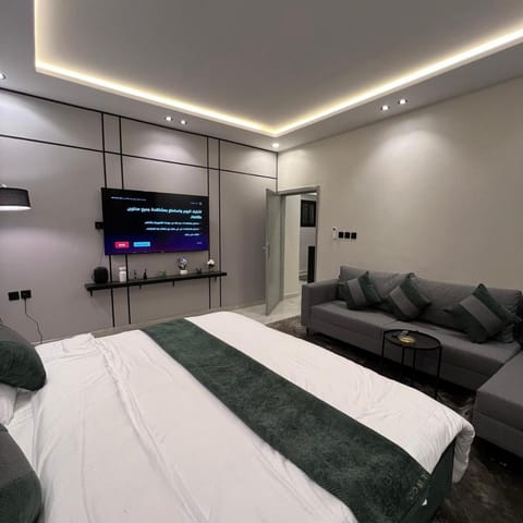 Bed, TV and multimedia, Living room, Photo of the whole room, Bedroom