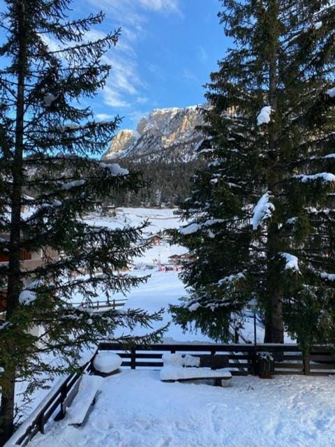 Winter, Mountain view