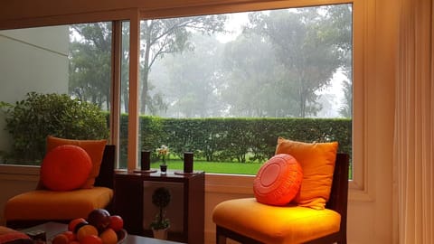 Patio, Garden, Living room, Seating area, Garden view