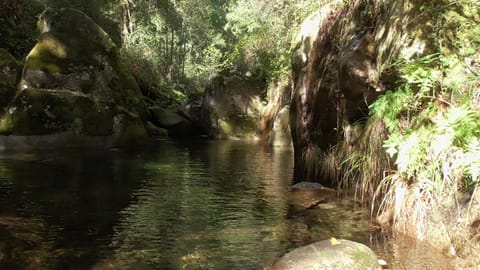 Natural landscape, River view
