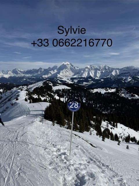 Chalet vue montagne , proche des pistes Chalet in Combloux