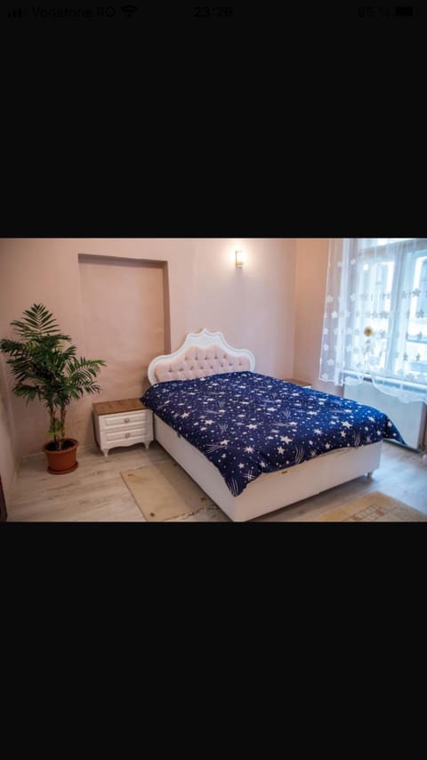 Zara Central Apartments Apartment in Timiș County